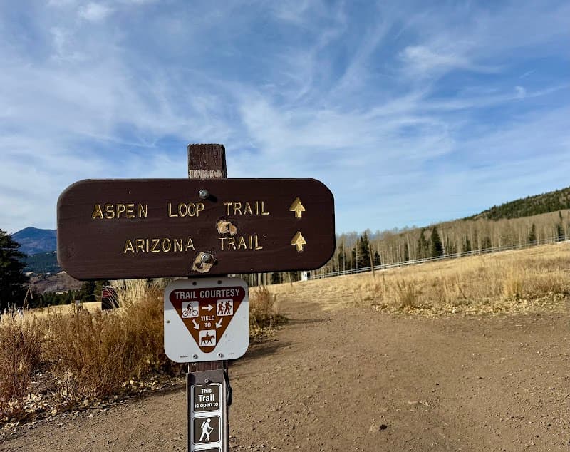 Aspen Loop Trail (Lockett Meadow)